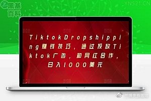 通过投放Tiktok广告赚钱技巧，和网红合作，日入数百美元-