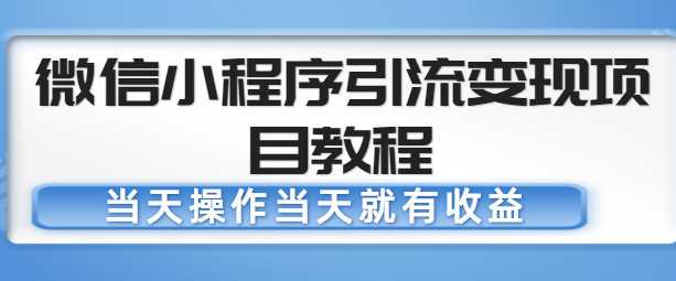 当天就有收益，微信小程序引流变现项目教程，-