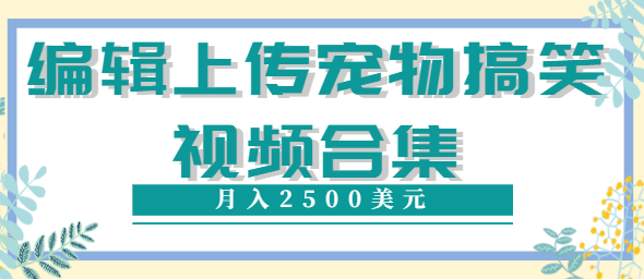 上传宠物搞笑视频，就可以通过邮管月入2500$-