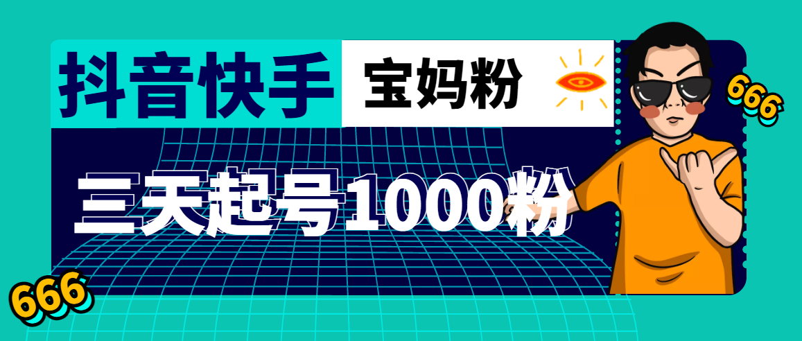 抖音快手三天起号涨粉1000宝妈粉丝的核心方法【详细玩法教程】-